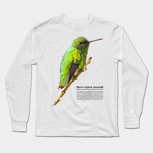 Short-tailed emerald hummingbird at dawn Long Sleeve T-Shirt by Ornamentum